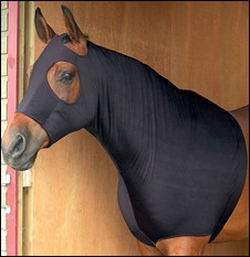 spandex horse
